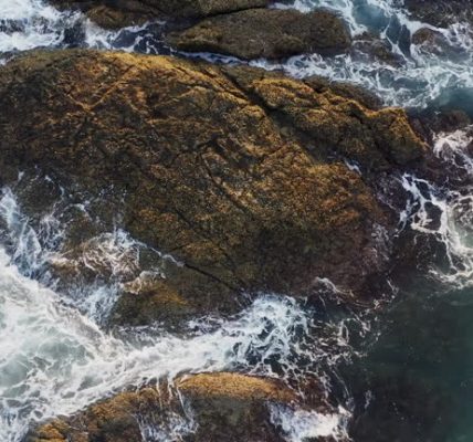 Complete List of Surf Resources for 2026