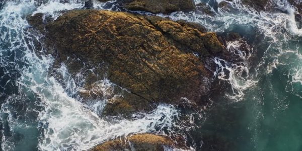 Complete List of Surf Resources for 2026