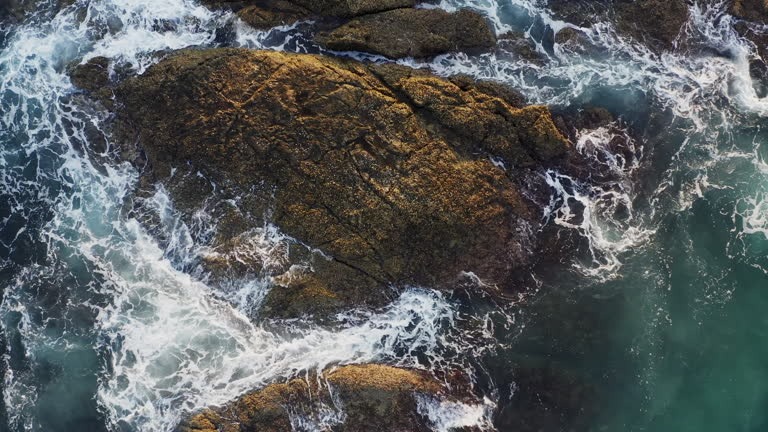 Complete List of Surf Resources for 2026