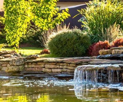 Landscaping Ideas for Front Yards That Impress Instantly