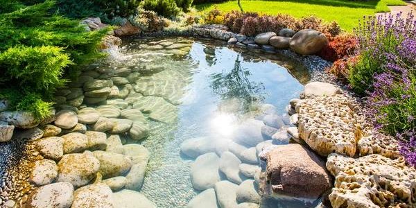 Discover the Benefits of Custom Landscape Design for Your Property