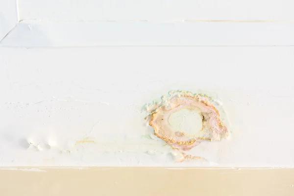 Emergency Water Damage Repair and Restoration Services