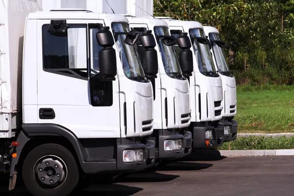 What to Look for in a Trucking Company Near Me for Business Deliveries